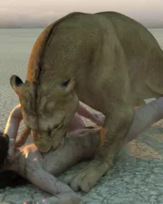 Lions-112