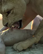 Lions-113