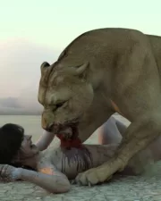 Lions-116