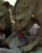 Lions-120