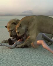 Lions-122