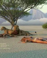Lions-124