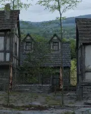 Trees-60