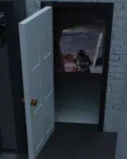 Mysterious-Cellar-099