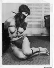 Bound to Please Vol.2 N.07 (House of Milan)