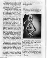 Bound-To-Please-Volume-2-Number-7-1976-41