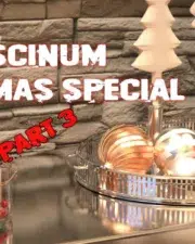 Christmas-Special-Fascinum-1-3-37