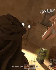 74687_Captured-Agent-110